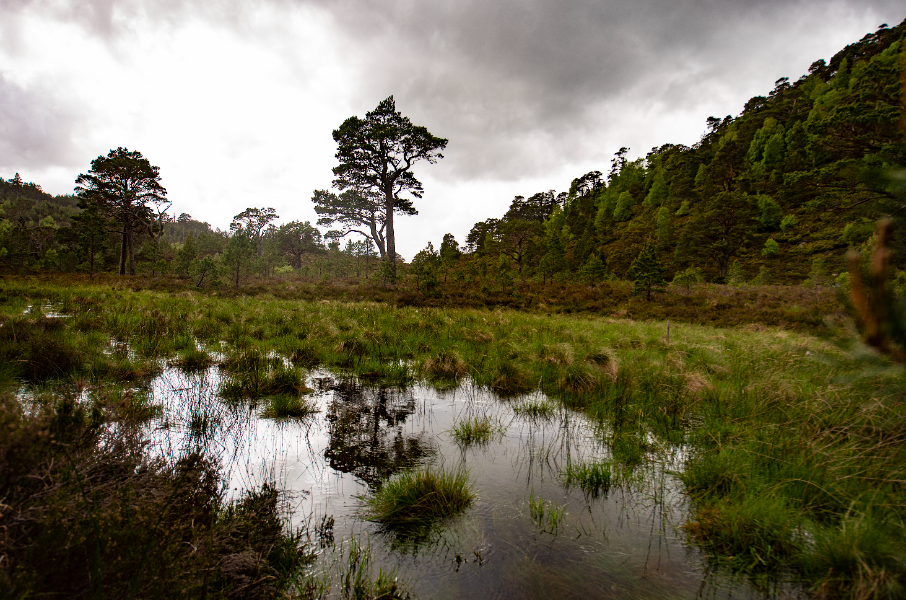 Cairngorms National Park