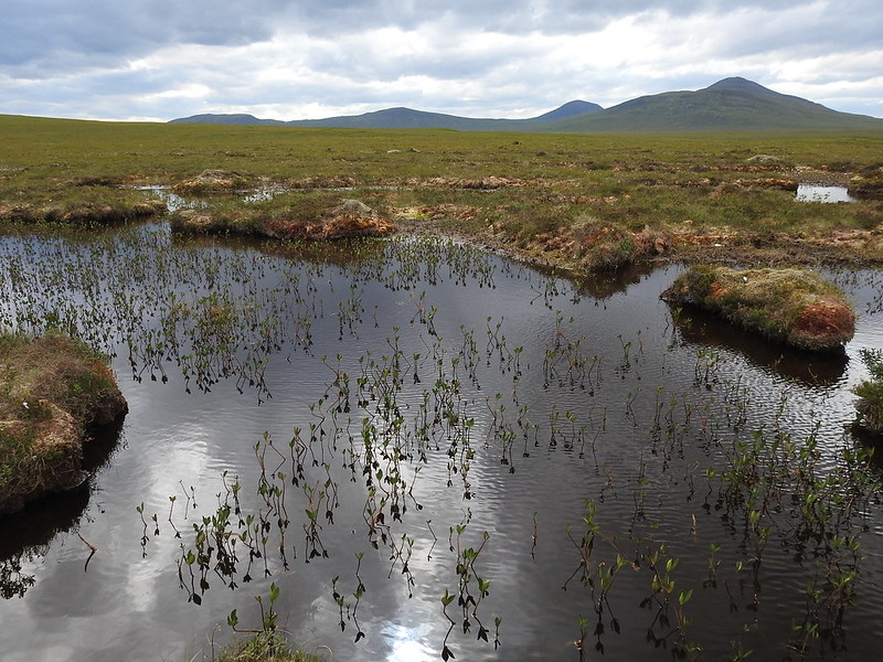 Caithness & John O'Groats